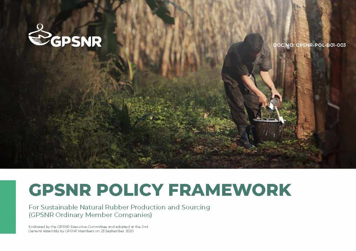 GPSNR POLICY FRAMEWORK