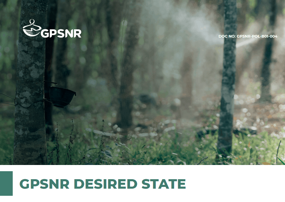 GPSNR DESIRED STATE 